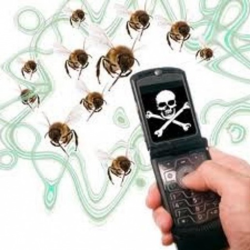 abejas-amenazadas-extincion-mayores-enemigos-plaguicidas-cambio-climatico_2_2049540